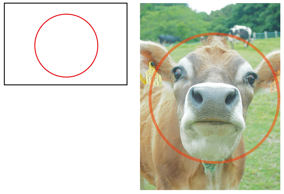 日の丸構図