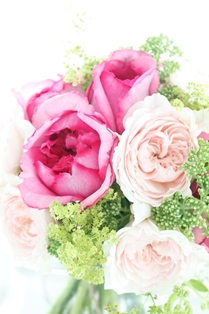 flower_online01